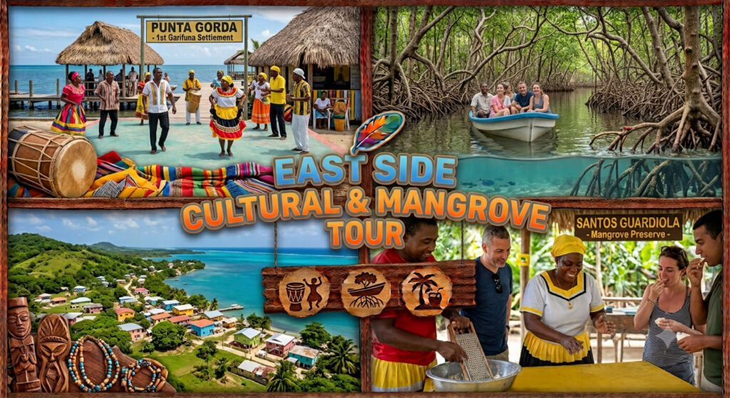 east side cultural & mangrove tour